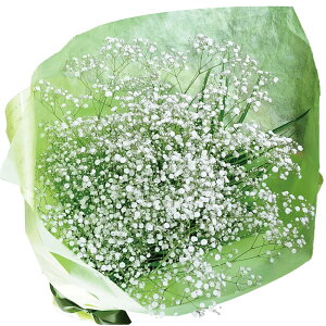 a v[g ԑ ̃JX~(ݑ )̉ԑ LTCY Iׂ郉bsOJ[  a j v[g z Mtg JX~\E ݂  JX~ u[