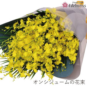 IVW[ ԑ a  Mtg LO  މ@j Cj  ԑMtg ̉ԑ G[fCX IVW[ IVWE ̉ԑ