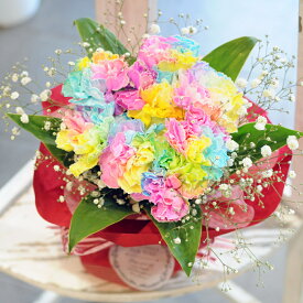 花 入学祝 就職祝 退職祝 母の日 カーネーション 花束 誕生日 プレゼント かわいい 母 ギフト フラワーギフト ははの日 カラフル 虹色 袋付き 花瓶不要 エーデルワイス そのまま飾れる不思議なブーケ レインボーカーネーションのブーケ