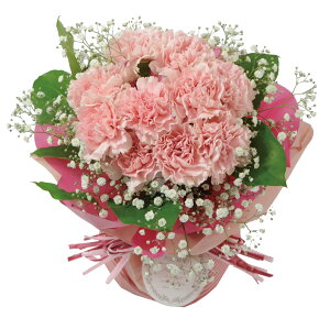 ̓ J[l[V  a@Mtg ͂͂̓ җ@v[g j  60 70 80 ̂܂܏svcȃu[P  z ͂ z J[l[Ṽu[P G[