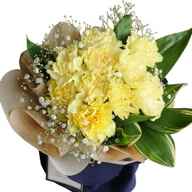 敬老の日 プレゼント カーネーション 花束 そのまま飾れる 不思議なブーケ 花瓶不要 60代 70代 80代 お母さん 義母 祖母 お花 生花 鉢以外 贈り物 おしゃれ かわいい 豪華 華やか 人気 おすすめ 感謝 フラワーギフト 記念日 袋付