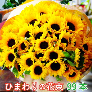 a v[g ԑ v|[Y ؉ 99{  މ@j 䒆  z  t[Mtg G[fCX Ђ܂̉ԑ 99{