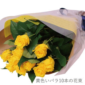 Fo ԑ ԑ Mtg o ԑ 10{ a  Mtg aԑ o Fỏԑ10{ KN ΂ aɑԑ LO \  Fo10{̉ԑ