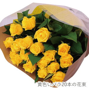 F CG[ o [Y LO a v[g  j  j ܏j v|[Y  v[g ̓  Mtg ԑ Fo20{̉ԑ