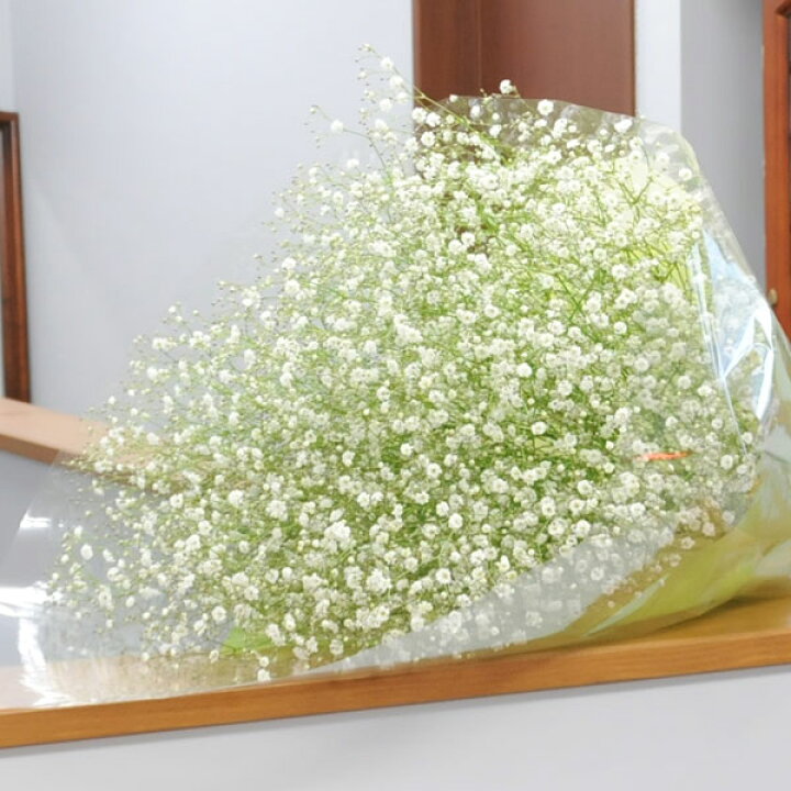 楽天市場 純白のカスミ草 かすみ草 霞草 の花束 Lサイズ 選べるラッピングカラー 送料無料 誕生日 お祝 プレゼント花 宅配 ギフト エーデルワイス 花宅配花屋ギフト