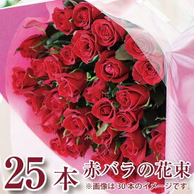 花束 バラ 結婚記念日 25歳 誕生日 プロポーズ 送料無料 妻 記念日 お祝い 薔薇 プレゼント 赤いバラ25本 発表会 卒業祝い 送別祝い 翌日 明日 急ぎ 明日着 配送 届け 宅配 翌日配達花