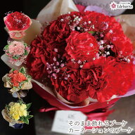母の日 遅れてごめんね 2026 プレゼント カーネーション 花束 そのまま飾れる 不思議なブーケ 花瓶不要 6…
