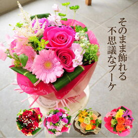 楽天市場 花束 切花 種類 植物 ガーベラ 花 観葉植物 花 ガーデン Diy の通販