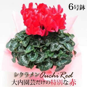 NX}X  VN 6 Ε Mtg VN A 6 Ε  Mtg Ε VN Mtg NX}X  Ε Mtg av[g  JXj  v[g 