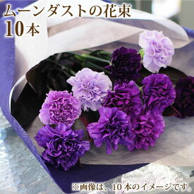 誕生日 記念日 花 ギフト 花束 プレゼント を 贈る ムーンダストの花束 10本 青いカーネーション バースディ 結婚祝 ギフト フラワー 花束 カーネーション 誕生日 花束 記念日 ムーンダスト 花束