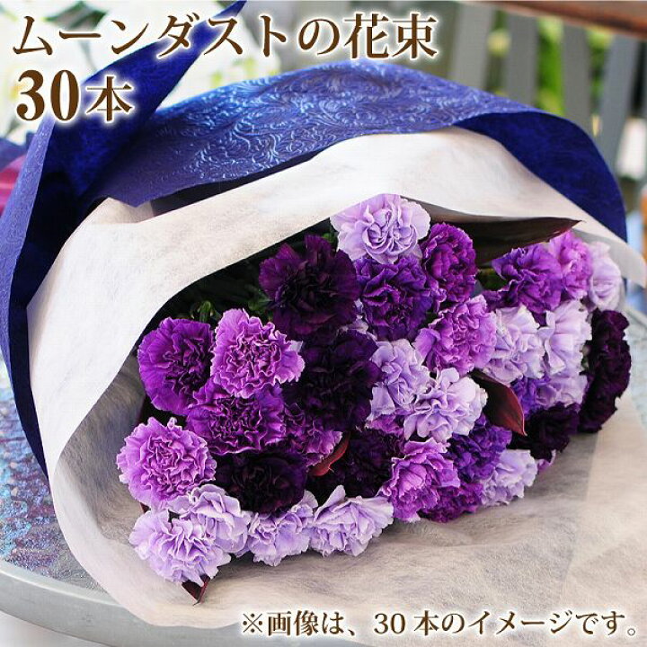 楽天市場 ムーンダストの花束 30本 青いカーネーション バースディ 誕生日 結婚祝 プレゼント ムーンダスト花束 誕生日 記念日 ギフト 花宅配 結婚記念日花束 年の数 フラワー ショップ ムーンダスト 30本の花束 エーデルワイス 花宅配花屋ギフト