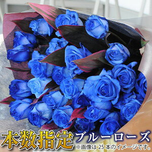     w j  a LO v|[Y j j u[[Y o KN o   }  z zB ͂ z ͓w { Iׂ zez 