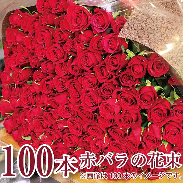 全日本送料無料 プロポーズ 花 赤いバラの花束100本 プレゼント ギフト 薔薇 ばら 誕生日 年の数 結婚記念日 発表会 送料無料 ローズ 花束 切花 Www Lakepointsports Com