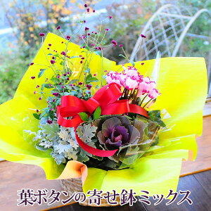 正月 玄関 花の人気商品 通販 価格比較 価格 Com