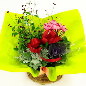    A    _  }t  񂹐A AWg    AWg     AWg  A