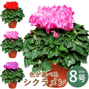 VN 8 Ε Mtg VN A 8 Ε  Mtg Ε VN Mtg Ε Mtg av[g  JXj  v[g Ε  G[fCX Yn