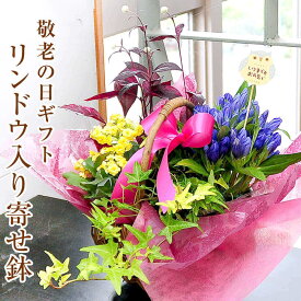 楽天市場 エーデルワイス 花工房の通販