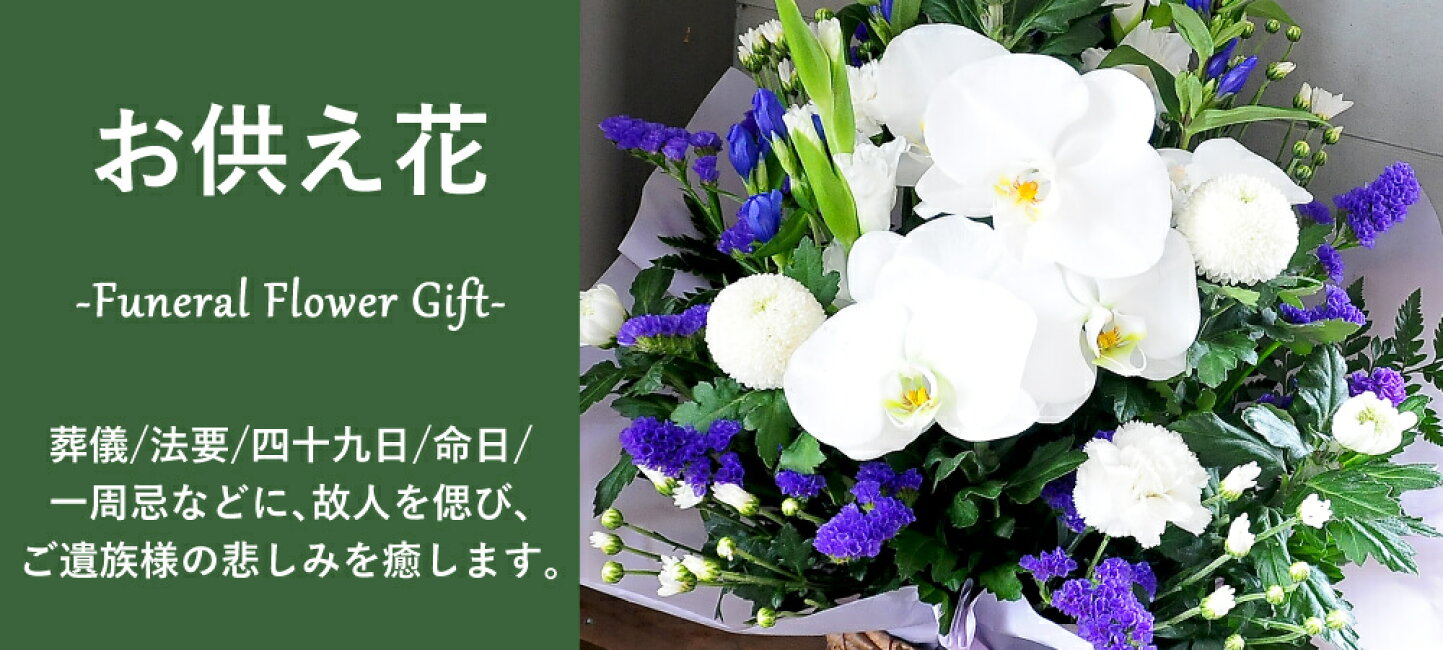 楽天市場 エーデルワイス 花の贈り物 花宅配 花ギフト 誕生日 青いバラ 胡蝶蘭 エーデルワイス 花宅配花屋ギフト トップページ