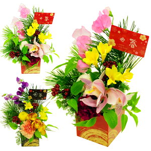 2026N   }t   v[g  t[AWg j VN Vt N   ֔N ؂₩ 킢 _  N t[Mtg ԍH[ G[