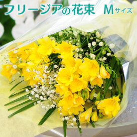 楽天市場 フリージア 花 ガーデン Diy の通販