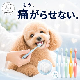 【動物病院開発・獣医師監修】犬 歯ブラシ 超極細毛 0.08mm 10000本 歯周病 口臭 歯石 予防 痛くない ふわふわ 小型犬 超小型犬 中型犬 猫 嫌がらない 5本セット 抗菌 個別ケース 多頭飼い Laundly 歯みがき はみがき 口腔ケア 歯垢 歯肉炎 デンタルケア ペット 犬用