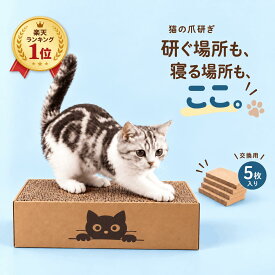 猫 爪とぎ ベッド 段ボール 5枚入り 両面10面 カスが出にくい 飛び散りにくい 長持ち つめとぎ 爪研ぎ ダンボール 高密度 交換用 ケース付き マタタビ付き 送料無料 Laundly 大容量 多頭飼い 散らからない 厚手 強化 段ボール 交換用