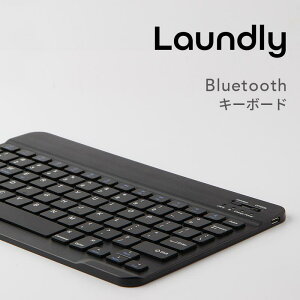 Bluetooth L[{[h y ^ P[Xt iPad ^ubgΉ RpNg X^ht RXpyz