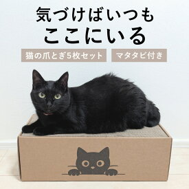 猫 爪とぎ 段ボール 爪研ぎベッド ダンボール 爪とぎ 5枚入り 両面使える 長持ち コスパ抜群 大型猫対応 多頭飼い 猫ベッド 高品質 マタタビ付き 削りカス飛び散らない 猫グッズ 猫用品 猫おもちゃ キャットタワー併用可能 快適 エコ設計