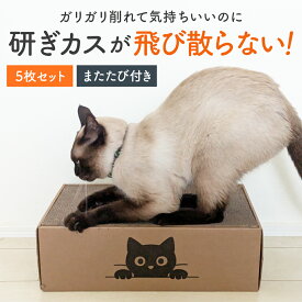 【楽天1位 】猫 爪とぎ 両面 長持ち 段ボール ベッド おしゃれ カスが出ない 丈夫 猫用 つめとぎ ベッド 猫 爪とぎ防止 壁ボロボロ 対策 猫 つめとぎ ダンボールベッド 猫 爪研ぎ ベッド ダンボール ベッド ダンボール ベッド 専用 段ボール 5枚入り 交換 猫 爪とぎハウス