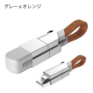 6in1 USBP[u }`P[u iPhone17P[u }`[dP[u USBP[u }`P[u Type-C [d f[^ʐM USB-A usb Incharge [d iPhone [dP[u Z RpNg Andoroid 
