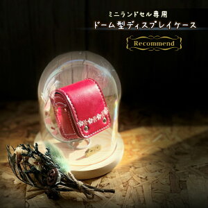 ~jhZƓŵ݁̕@ȃh[^fBXvCP[X