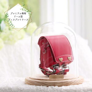 v~A~jhZƓŵ݁̕@ȃh[^fBXvCP[X偁