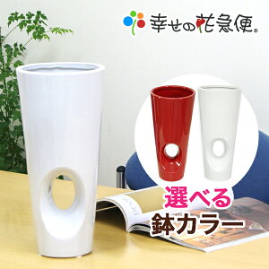 鉢 陶器鉢 白 底穴なしの人気商品 通販 価格比較 価格 Com