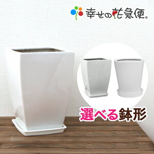 植木鉢 陶器 スクエア プランターの人気商品 通販 価格比較 価格 Com