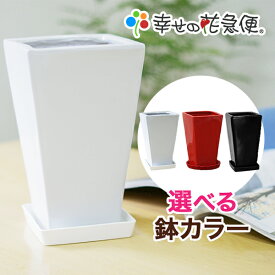 楽天市場 陶器鉢 白の通販