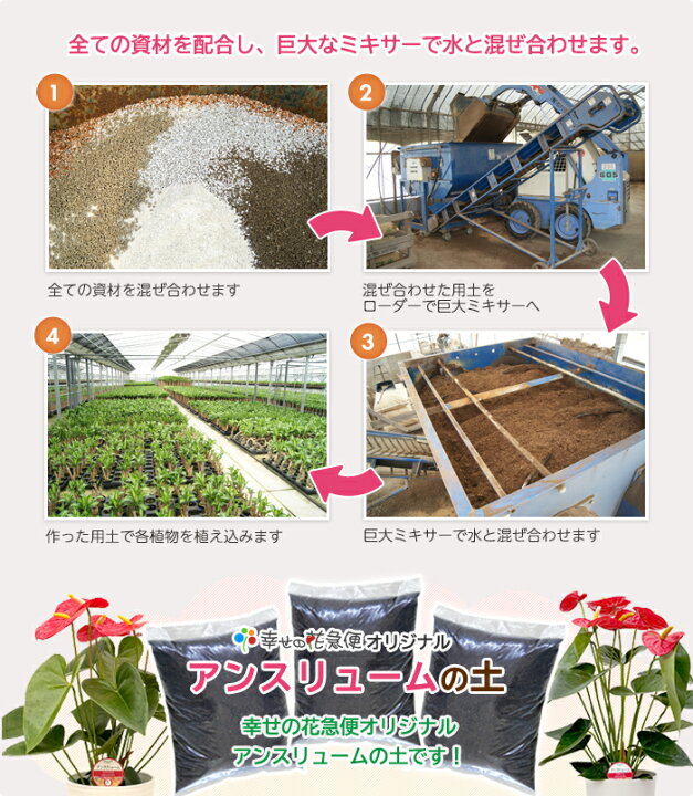 楽天市場】アンスリューム用の土 10L|生産者が使う培養土10L【園芸 花 