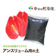 アンスリューム用の土 10L|生産者が使う培養土10L【園芸 花 野菜 果樹 家庭菜園 ガーデニング 植え替え …