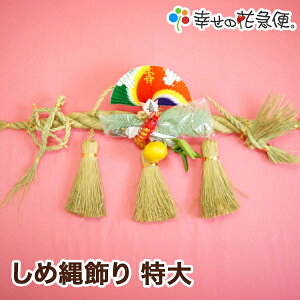 y|Cg5{zߓij|yzy/A/VN/2026N@߁zypz