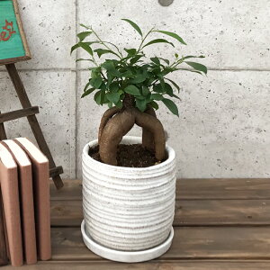 ϗtA KW}5ytBJXE~NJp jW ϗtA JXj Vzj hV̓ ̓ av[g zj CeA  z