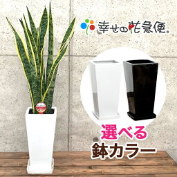楽天市場 引越し 新築 開店祝い おくりものナビ