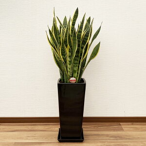 ϗtA TXxA 8 85`100cmyTZxA gmI lC ^ @l JXj JƏj Vzj zj CeA Vv _ ȐAؔ  ItB