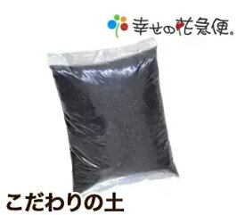 楽天市場 ウンベラータ 幸せの花急便の通販