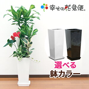 アイビー 鉢 おしゃれ 農業資材 ガーデニング用品の人気商品 通販 価格比較 価格 Com