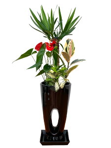 ϗtA 񂹐A 7 90`100cmylC  ^ @l 蕨 JXj JƏj Vzj zj CeA Vv _  ȐAؔ  ItBX X