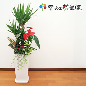 観葉植物 寄せ植え 10号高陶器鉢 高さ約140cm【人気 おすすめ 大型 法人 贈り物 開店祝い 開業祝い 新築祝い 引越し祝い インテリア シンプル モダン 高級 おしゃれな植木鉢 送料無料 オフィス 店舗 事務所 】