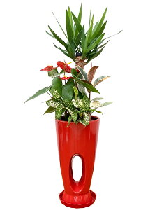 ϗtA 񂹐A 7 90`100cmylC  ^ @l 蕨 JXj JƏj Vzj zj CeA Vv _  ȐAؔ  ItBX X