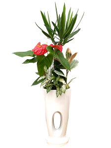 ϗtA 񂹐A 7 90`100cmylC  ^ @l 蕨 JXj JƏj Vzj zj CeA Vv _  ȐAؔ  ItBX X