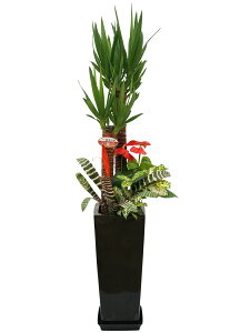 観葉植物 寄せ植え 8号高陶器鉢 高さ約130cm【人気 おすすめ 大型 法人 贈り物 開店祝い 開業祝い 新築祝い 引越し祝い インテリア シンプル モダン 高級 おしゃれな植木鉢 送料無料 オフィス