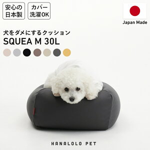 ybgNbV ` STCY 􂦂 Jo[Zbg ps[ ^ L S7F  { y I[V[Y ʔN r[YNbV _ɂNbV _炩 O