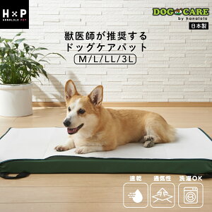  p}bg p ʋCpbh Jo[̂ V[c M L LL 3L  { 􂦂  z ʋC  V VjA nr }bgX p pi